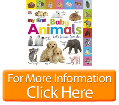 Tabbed Board Books My First Baby Animals Lets Find Our Favorites Tab Board Books Uncovered